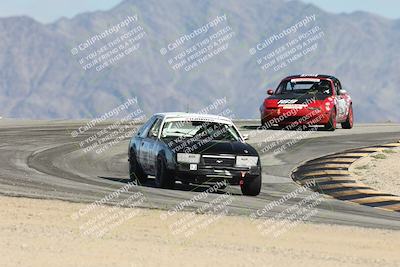 media/Oct-11-2025-Lucky Dog Racing (Sat) [[f5b53147c4]]/4-Third Stint/1-Turn 12/